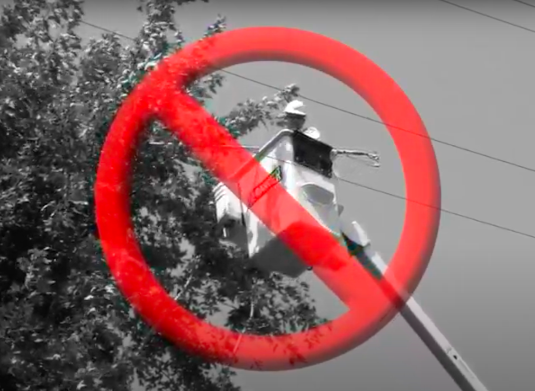 Tree Service Professional Dangerously near an electrical/power line